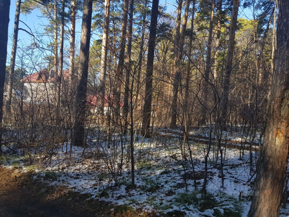 Купить загородную недвижимость в микрорайоне Гора в городе Барнаул, продажа  загородной недвижимости - база объявлений Циан. Найдено 2 объявления