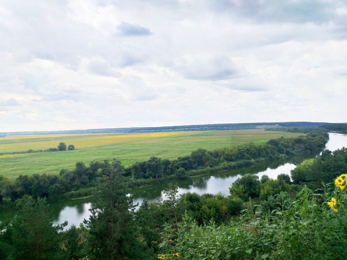 Купить дом в коттеджном поселке Северная Гардарика в деревне  Новоподклетное, продажа домов - база объявлений Циан. Найдено 3 объявления