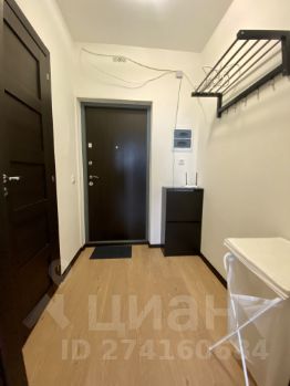 студия, 25 м², этаж 24