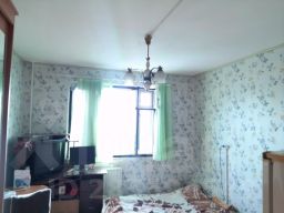 комната 229/14 м², этаж 16