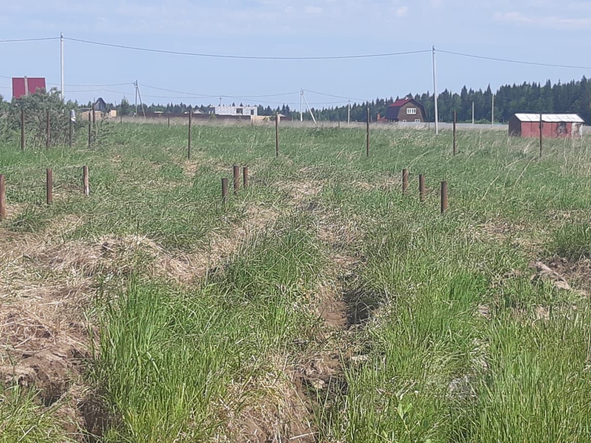 Купить дом на улице Лесная в деревне Растягаево в сельском поселении  Заболотское, продажа домов - база объявлений Циан. Найдено 1 объявление