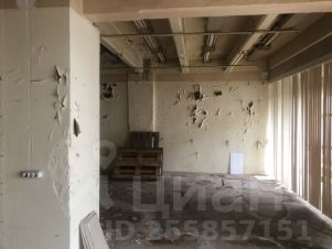 своб. назнач. 1400 м², этаж 2