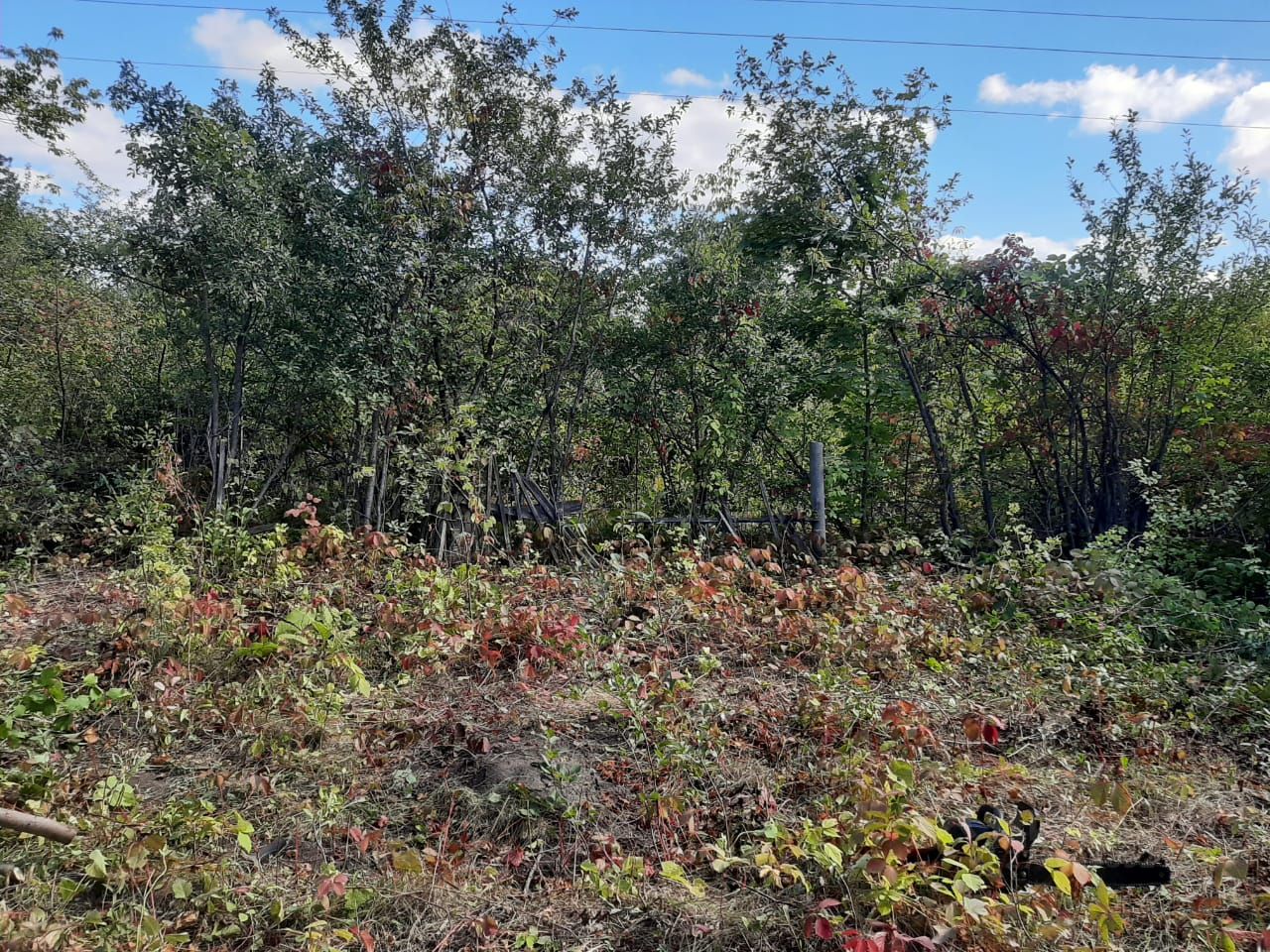 Купить земельный участок в садовое товарищество Строитель в городе Липецк,  продажа земельных участков - база объявлений Циан. Найдено 7 объявлений