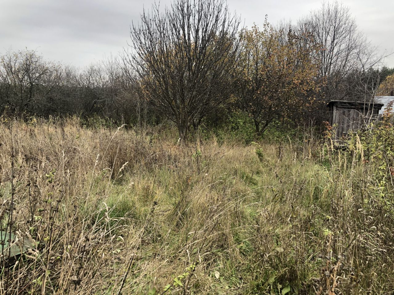 Купить загородную недвижимость в деревне Новлянка Селивановского района,  продажа загородной недвижимости - база объявлений Циан. Найдено 1 объявление