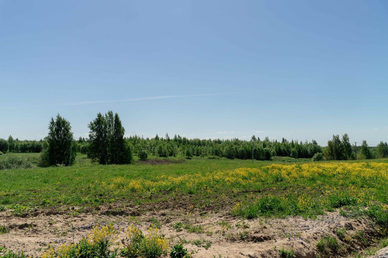 Купить загородную недвижимость в переулке Луговой в деревне Разметелево в  сельском поселении Колтушское, продажа загородной недвижимости - база  объявлений Циан. Найдено 1 объявление