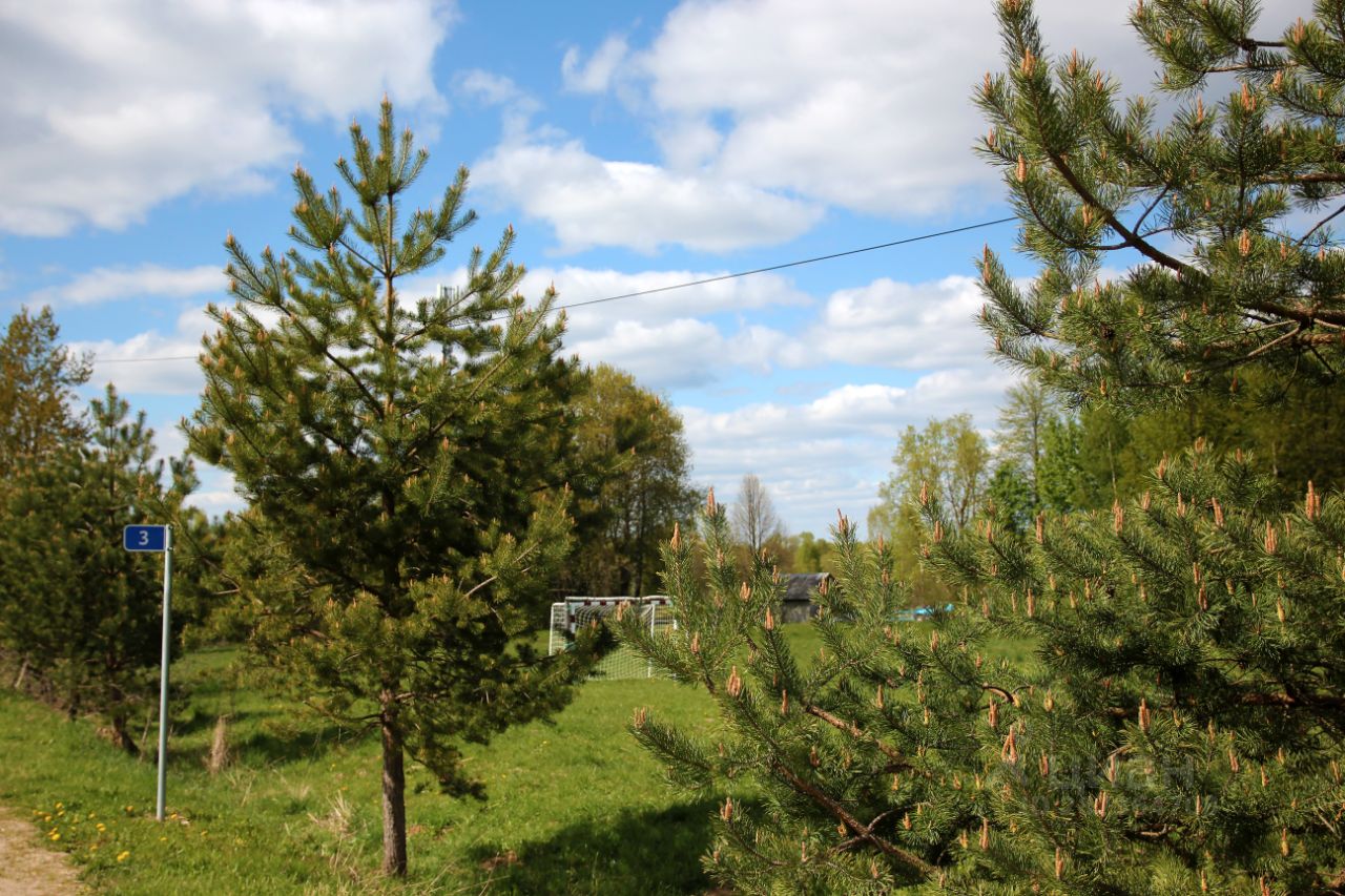 Купить земельный участок в деревне Алексеевка Калужской области, продажа  земельных участков - база объявлений Циан. Найдено 2 объявления