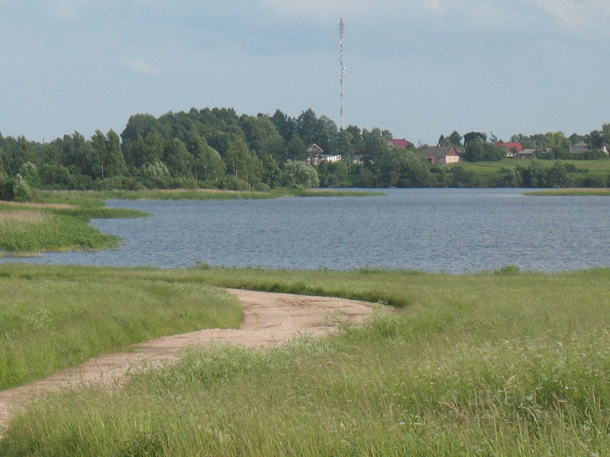 Купить загородную недвижимость на площади Палкинская в поселке городского  типа Палкино, продажа загородной недвижимости - база объявлений Циан.  Найдено 1 объявление