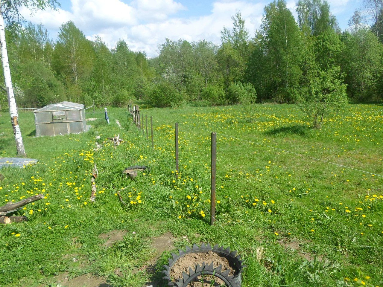 Купить участок 12сот. Ленинградская область, Лужский район, Заклинское  с/пос, Заклинье деревня - база ЦИАН, объявление 220561737