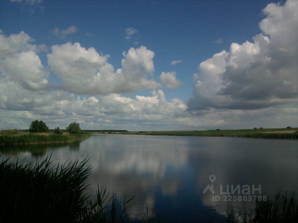 Купить загородную недвижимость в рабочем поселке Токаревка Тамбовской  области, продажа загородной недвижимости - база объявлений Циан. Найдено 3  объявления