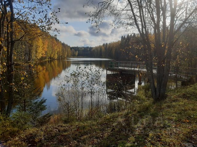 Ошибка загрузки фото