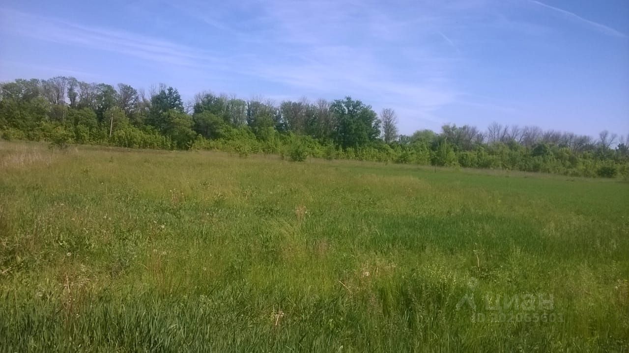 Купить загородную недвижимость на улице Школьная в поселке имени  Дзержинского, продажа загородной недвижимости - база объявлений Циан.  Найдено 2 объявления