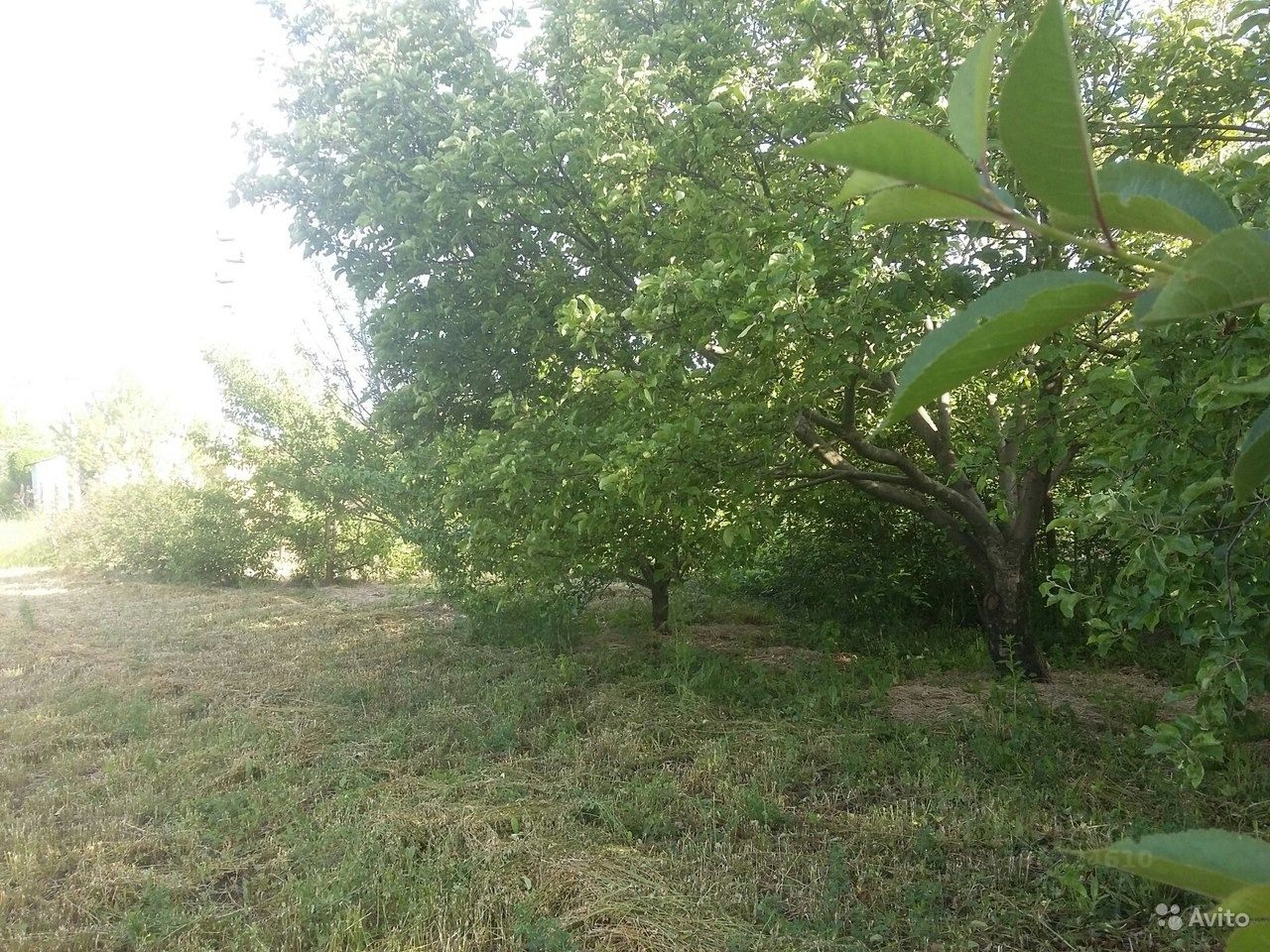 Купить земельный участок в округе Сеймский в городе Курск, продажа  земельных участков - база объявлений Циан. Найдено 57 объявлений