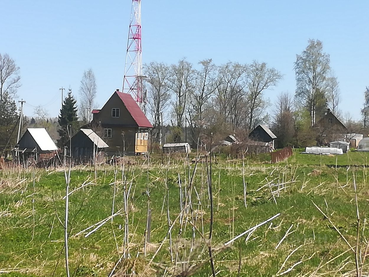 Купить земельный участок в Лужском районе Ленинградской области, продажа  земельных участков - база объявлений Циан. Найдено 406 объявлений