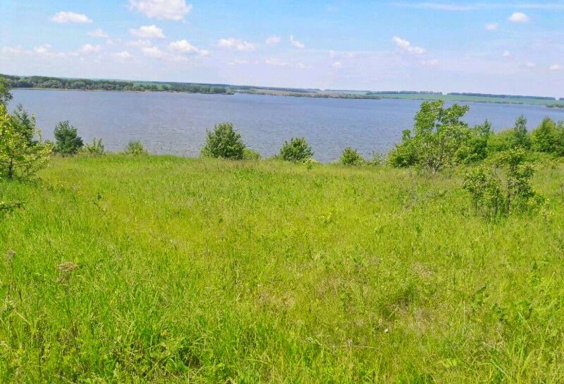 Купить земельный участок без посредников в Михайловском районе Рязанской  области от хозяина, продажа земельных участков от собственника в  Михайловском районе Рязанской области. Найдено 92 объявления.