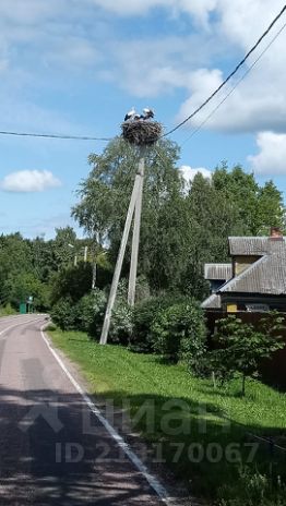 участок 17.0 сот.