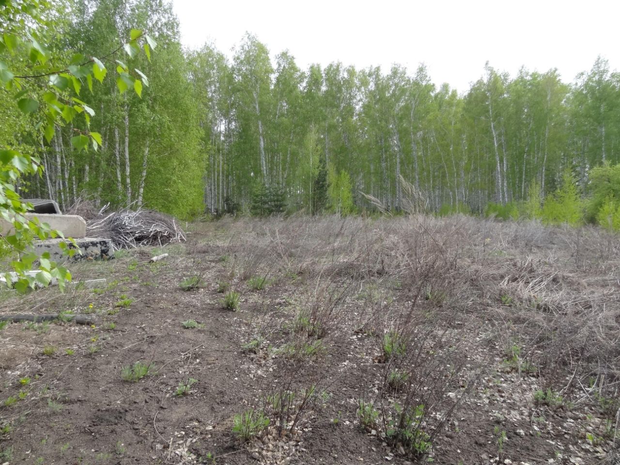 Купить загородную недвижимость в поселке Северный Сосновского района,  продажа загородной недвижимости - база объявлений Циан. Найдено 3 объявления