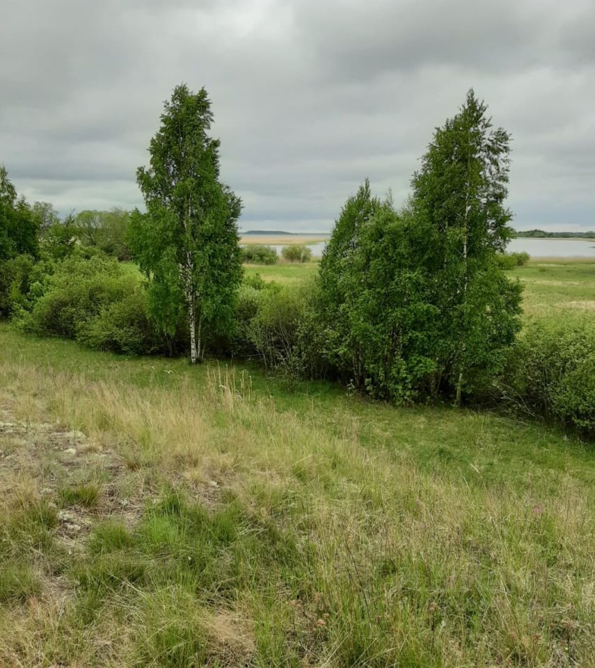 Купить загородную недвижимость в деревне Залахтовье Гдовского района,  продажа загородной недвижимости - база объявлений Циан. Найдено 6 объявлений