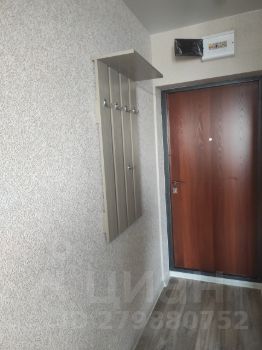 студия, 17 м², этаж 16