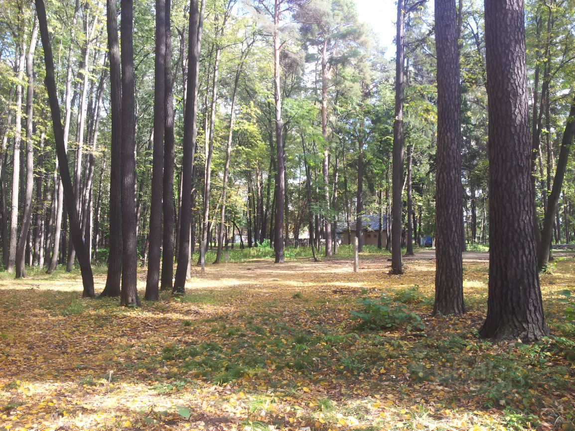 Купить загородную недвижимость на проезде Бурковский в микрорайоне Болшево  в городе Королев, продажа загородной недвижимости - база объявлений Циан.  Найдено 1 объявление