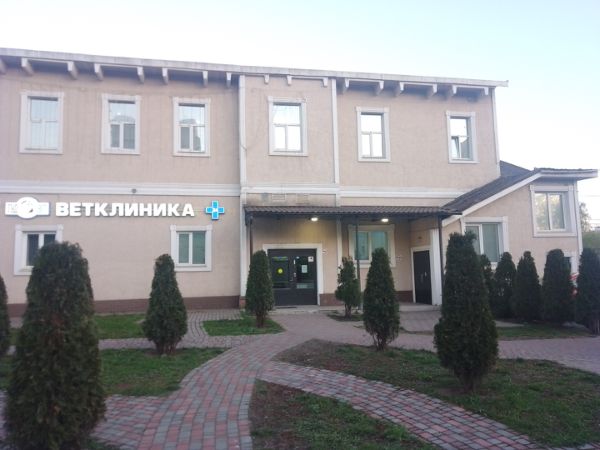 Отдельно стоящее здание на ул. Фрязевская, 4