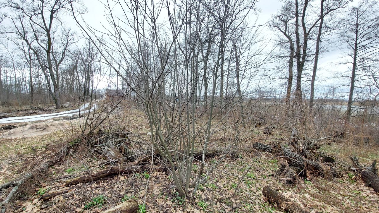 Купить загородную недвижимость в территории Кордон Кожевенный в городе  Воронеж, продажа загородной недвижимости - база объявлений Циан. Найдено 2  объявления