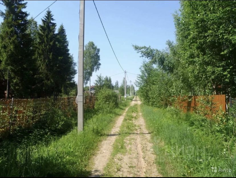 Участок в Липецке. Живописная дорога, окруженная зеленью и деревьями. Идеально для строительства дома в тихом месте.