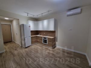 студия, 24 м², этаж 12