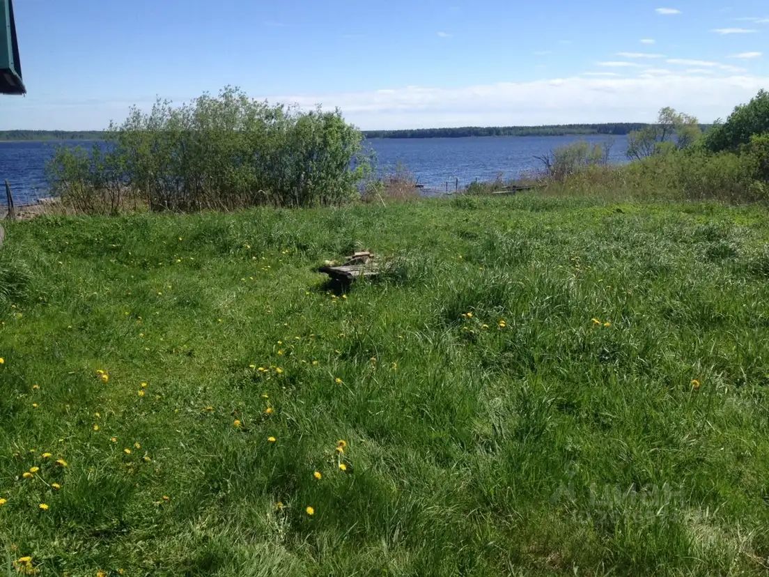 Купить загородную недвижимость в поселке городского типа Николаевка  Смидовичского района, продажа загородной недвижимости - база объявлений  Циан. Найдено 15 объявлений