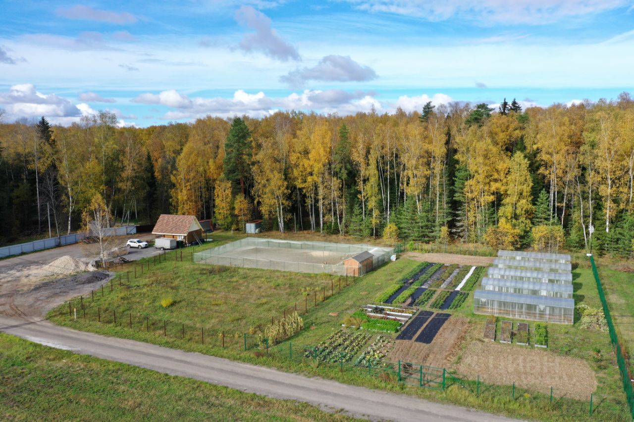 Купить дачный участок в деревне Гребнево Нижегородской области, продажа  участков для дачи. Найдено 3 объявления.