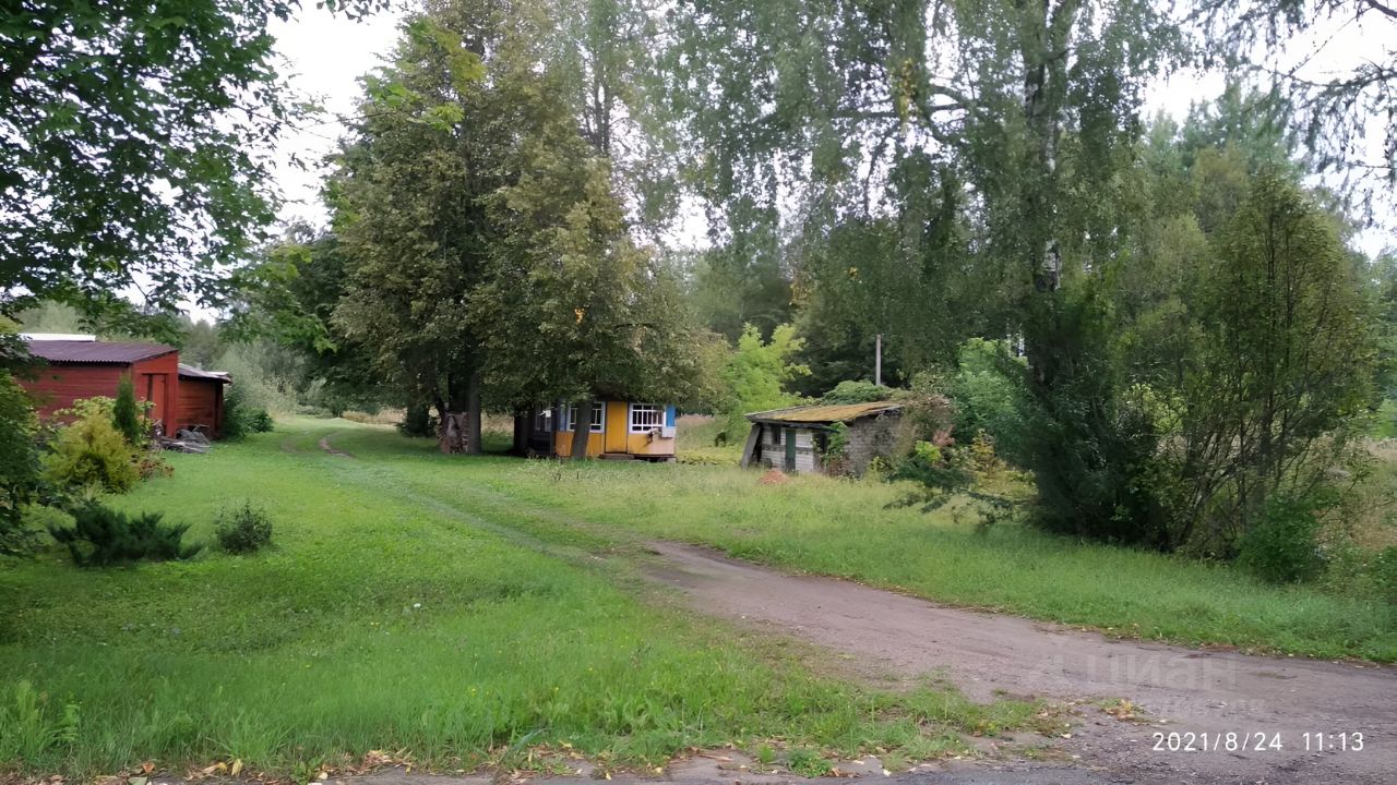 Купить загородную недвижимость в поселке Пятчино Стругокрасненского района,  продажа загородной недвижимости - база объявлений Циан. Найдено 6 объявлений