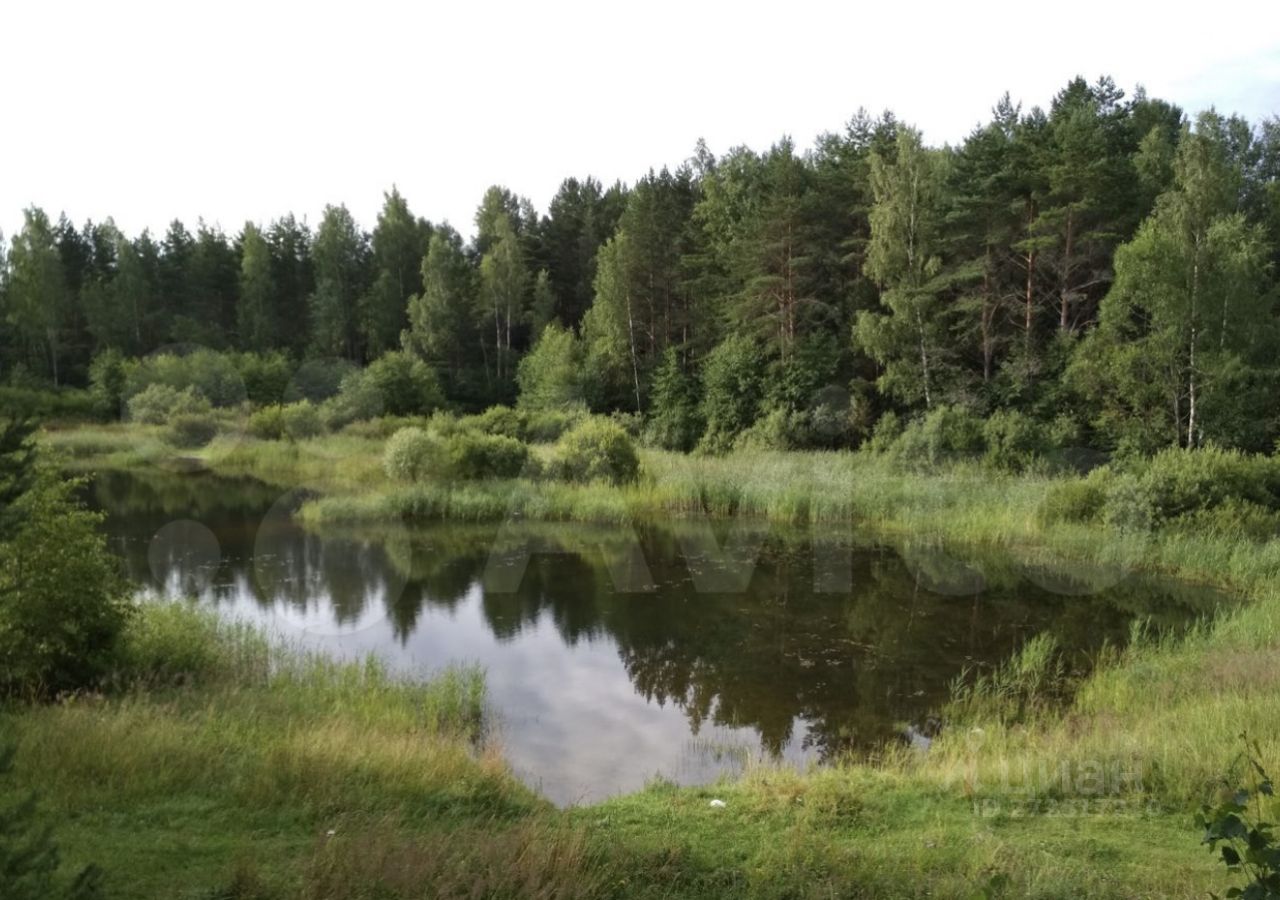 Купить загородную недвижимость на улице Садовая в деревне Березино в сельском  поселении Бурашевское, продажа загородной недвижимости - база объявлений  Циан. Найдено 1 объявление