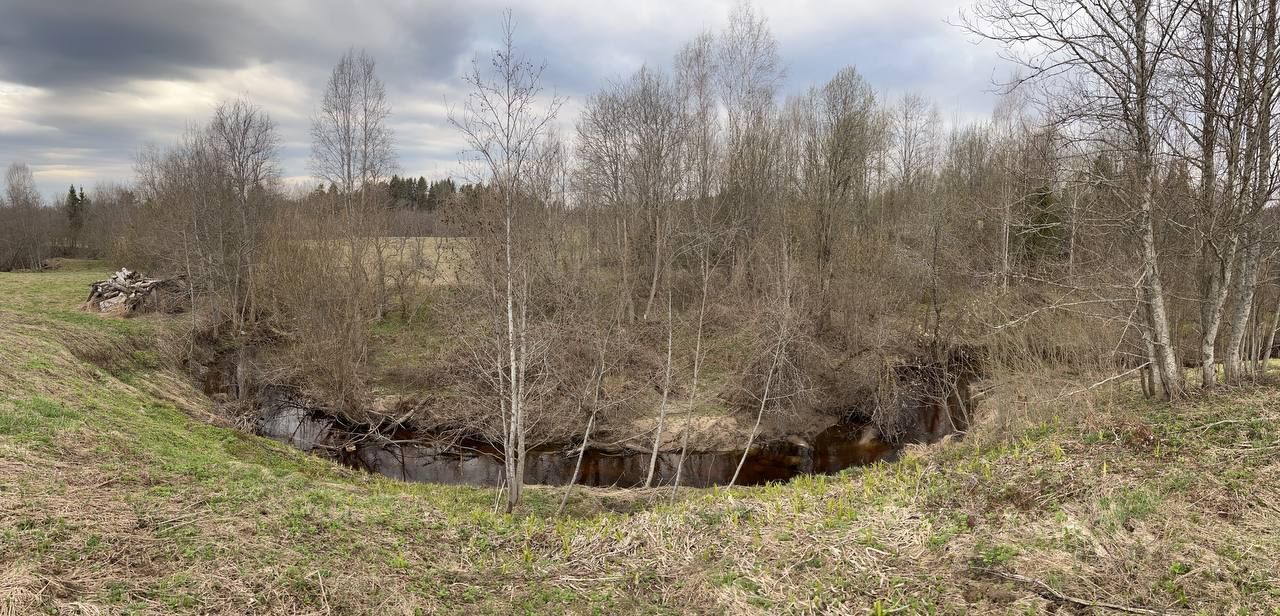 Купить дом в деревне Брод Валдайского района, продажа домов - база  объявлений Циан. Найдено 6 объявлений