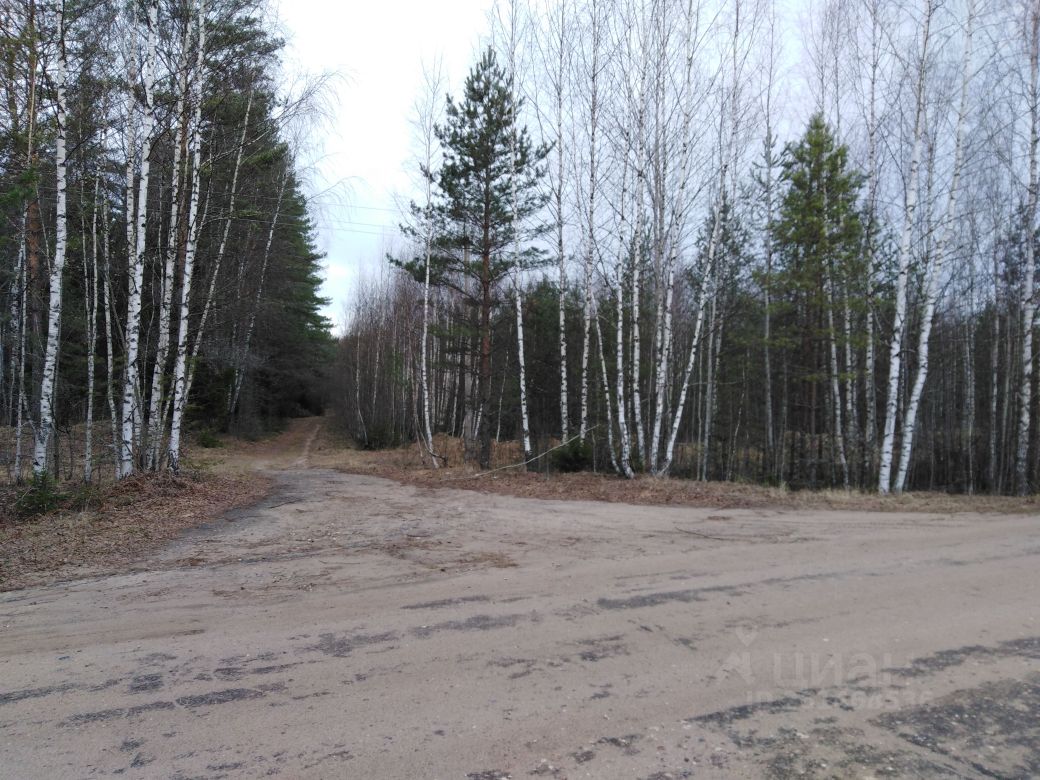 Купить загородную недвижимость в деревне Охотино Ярославской области,  продажа загородной недвижимости - база объявлений Циан. Найдено 6 объявлений