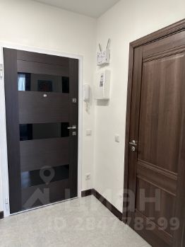 студия, 29 м², этаж 12