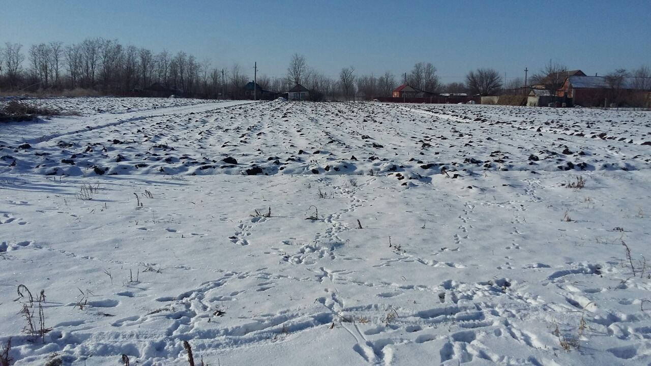 Купить земельный участок в станице Новорождественская Тихорецкого района,  продажа земельных участков - база объявлений Циан. Найдено 4 объявления