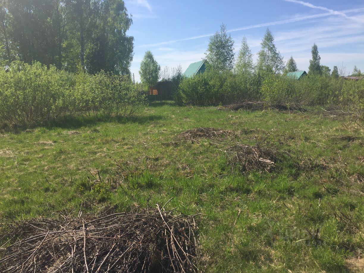 Купить загородную недвижимость в селе Княжьи Горы Зубцовского района,  продажа загородной недвижимости - база объявлений Циан. Найдено 5 объявлений