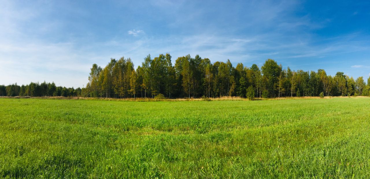 Купить загородную недвижимость в селе Красная Гора Калининского района,  продажа загородной недвижимости - база объявлений Циан. Найдено 3 объявления