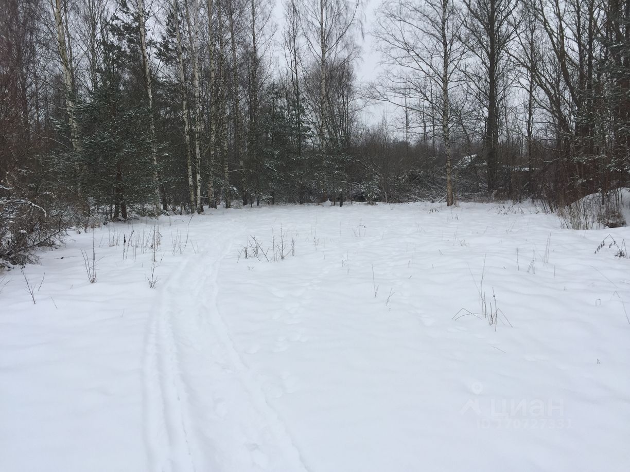 Купить загородную недвижимость в деревне Бабаево Псковского района, продажа  загородной недвижимости - база объявлений Циан. Найдено 3 объявления