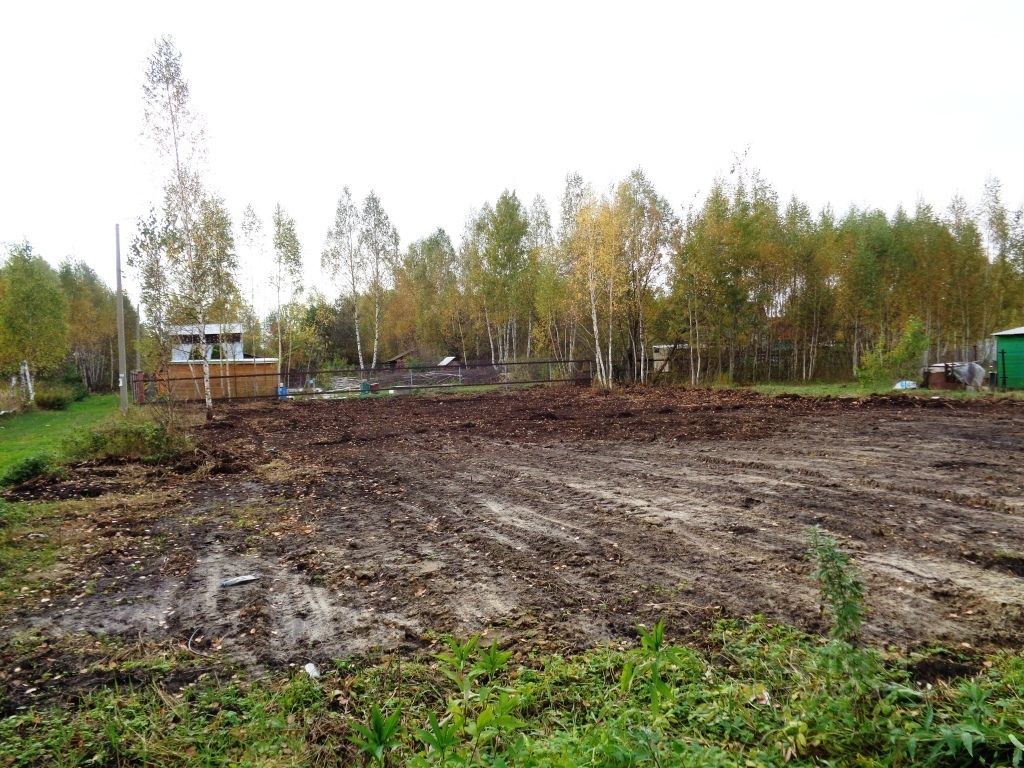 Купить земельный участок в СНТ Ромашка городского округа Орехово-Зуевского,  продажа земельных участков - база объявлений Циан. Найдено 1 объявление