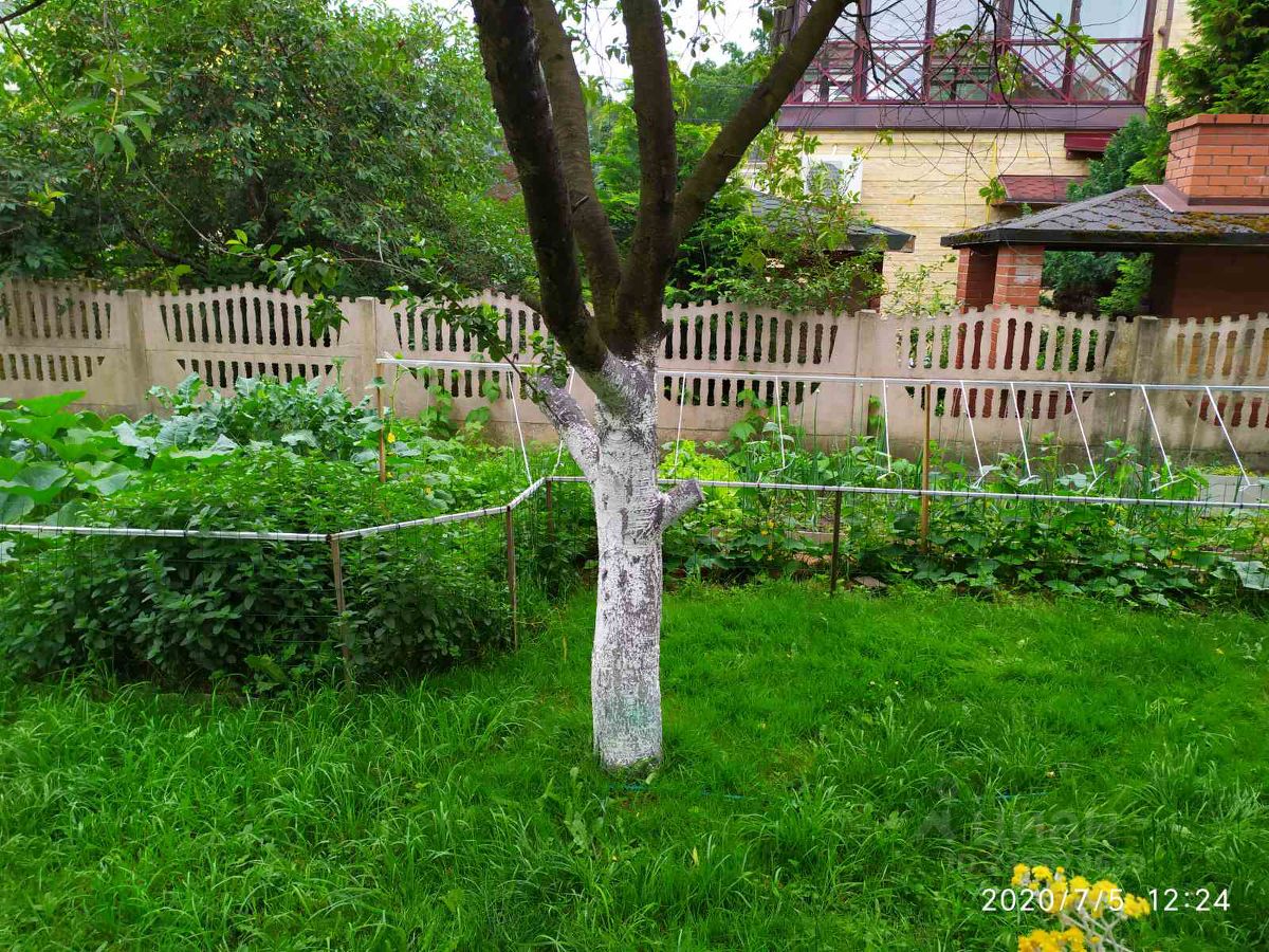 Купить загородную недвижимость на улице Михаила Булгакова в городе  Калининград, продажа загородной недвижимости - база объявлений Циан.  Найдено 3 объявления