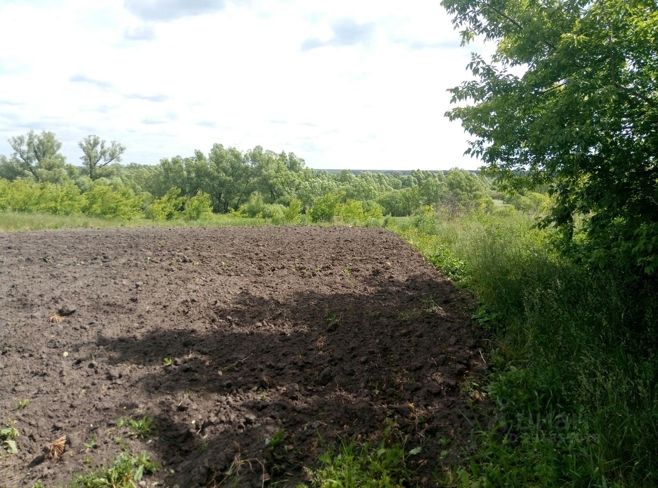 Купить загородную недвижимость в деревне Мелекшино Старожиловского района,  продажа загородной недвижимости - база объявлений Циан. Найдено 2 объявления