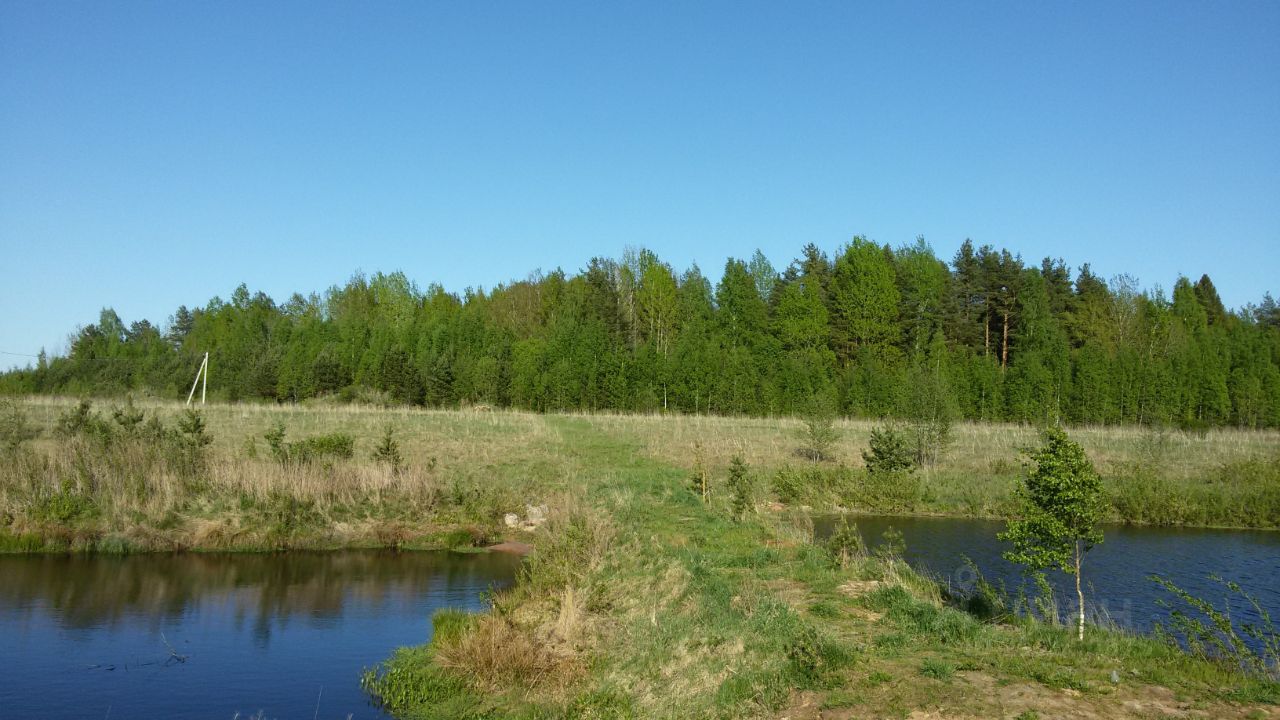 Купить земельный участок в деревне Прилуки Новгородского района, продажа  земельных участков - база объявлений Циан. Найдено 6 объявлений