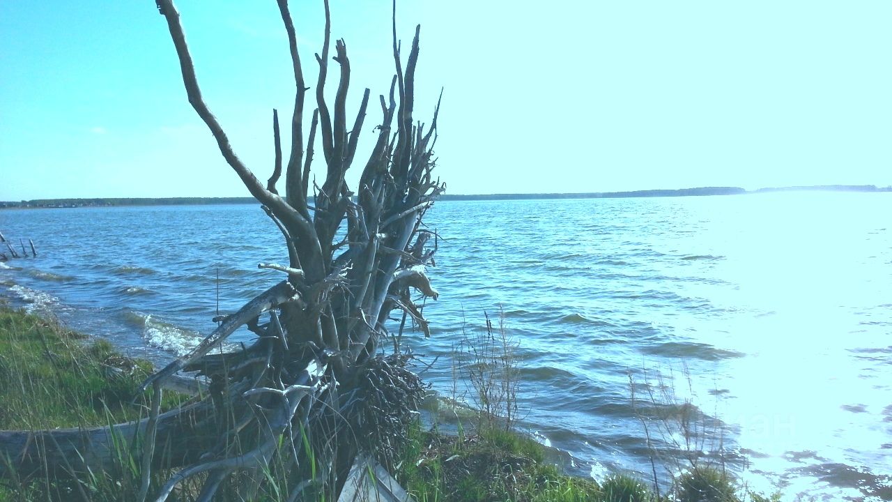 Купить загородную недвижимость в СНТ Луч Аргаяшского района, продажа  загородной недвижимости - база объявлений Циан. Найдено 2 объявления