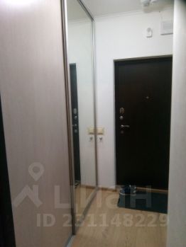 студия, 24 м², этаж 4