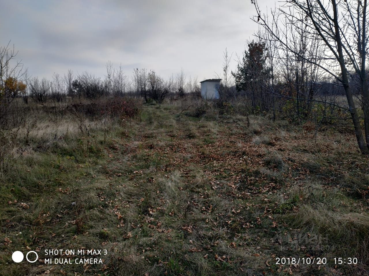 Купить участок 12 соток в селе Трещевка Рамонского района. Найдено 2  объявления.