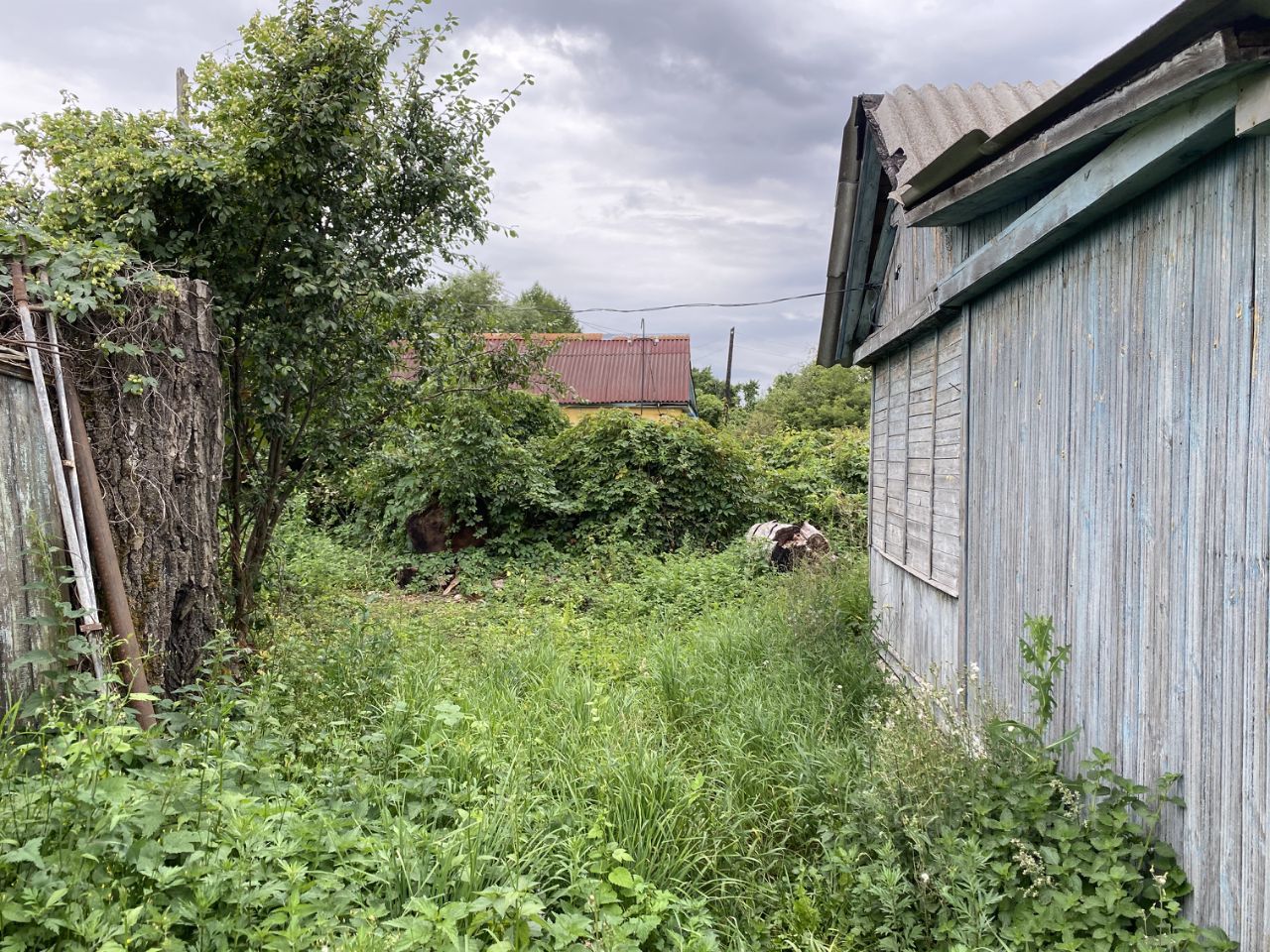 Купить дачный участок в селе Звягинки Орловского района, продажа участков  для дачи. Найдено 3 объявления.