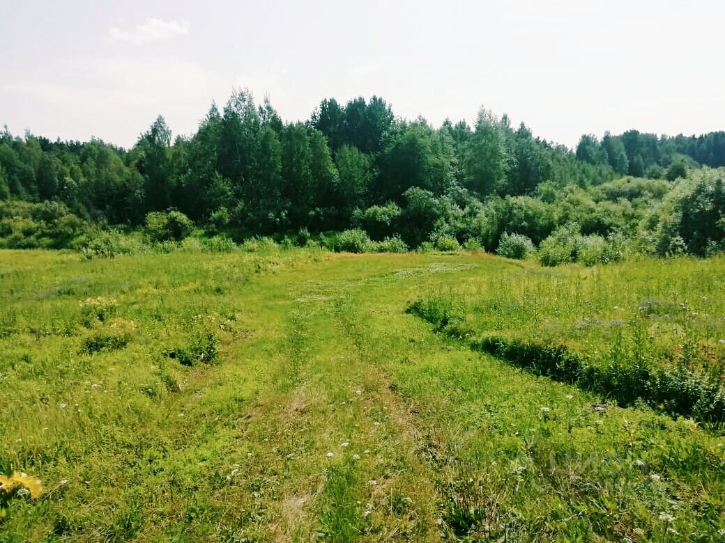 Купить земельный участок в городском округе Туринском Свердловской области,  продажа земельных участков - база объявлений Циан. Найдено 1 объявление