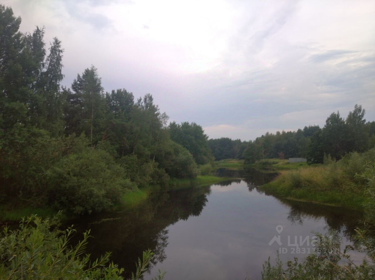 Купить земельный участок в деревне Сперанская Мыза Новгородского района,  продажа земельных участков - база объявлений Циан. Найдено 9 объявлений