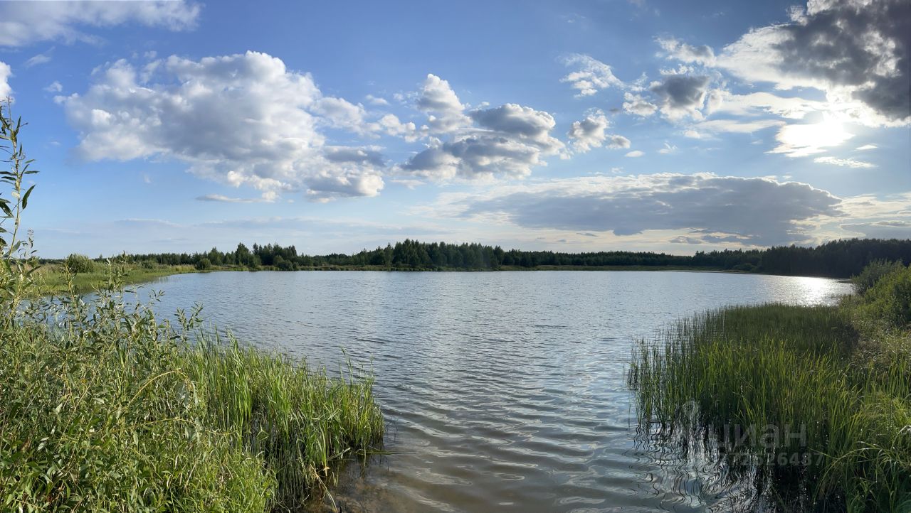 Купить загородную недвижимость в деревне Мишнево Камешковского района,  продажа загородной недвижимости - база объявлений Циан. Найдено 1 объявление