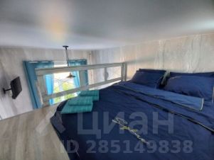 студия, 17 м², этаж 1